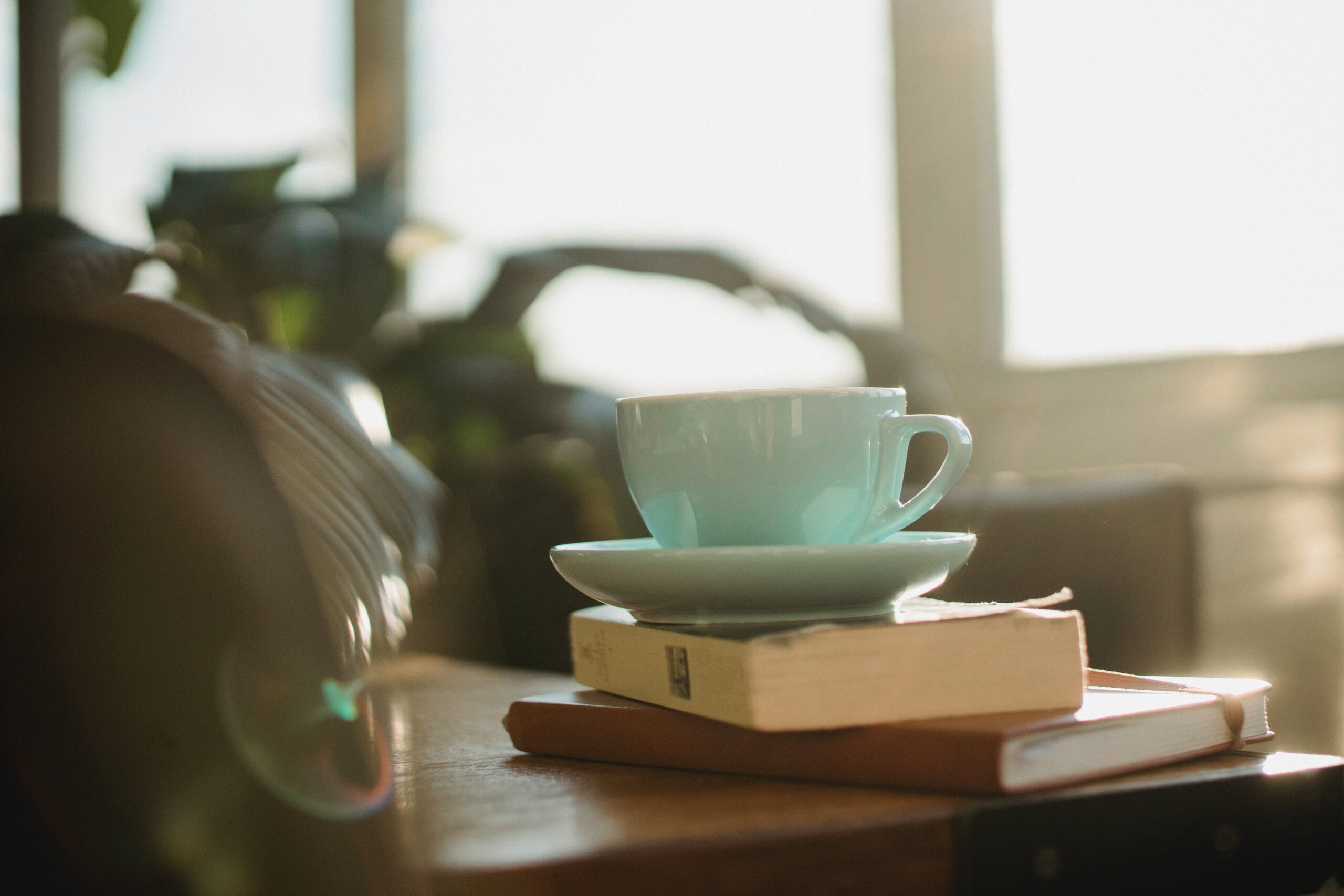 Perbedaan Antar Penerbit Indie, Self-Publishing, dan Mayor dalam Dunia Penerbitan