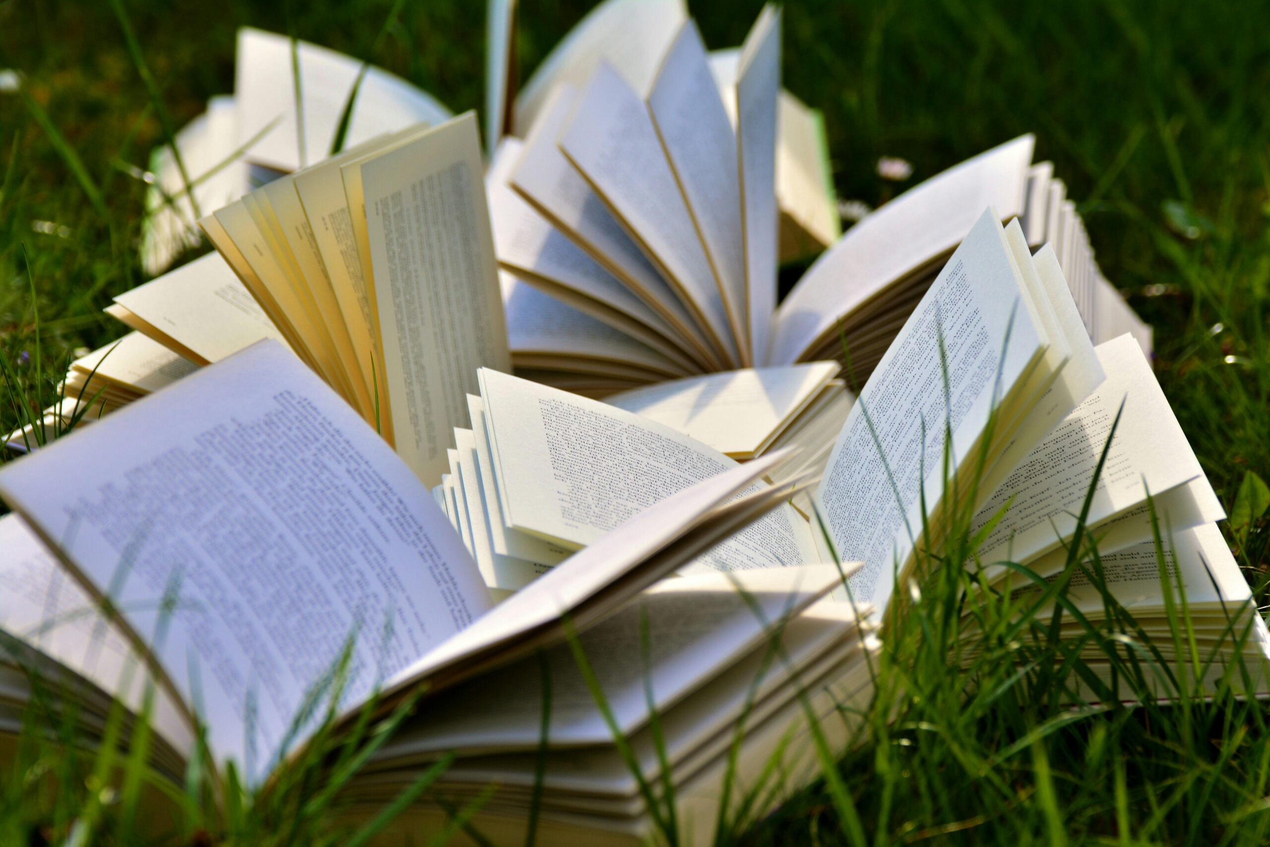 Jangan Takut Memulai, Ini Dia Tips Simple bagi Penulis Pemula