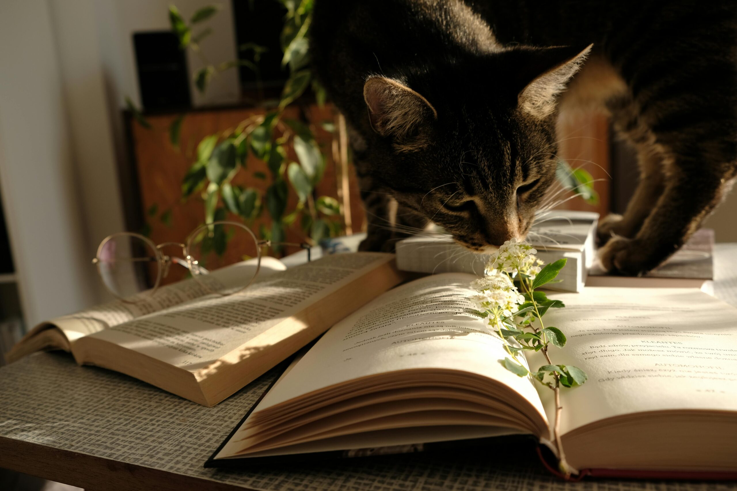 Rahasia Sukses dalam Pemasaran Buku bagi Penjual Buku