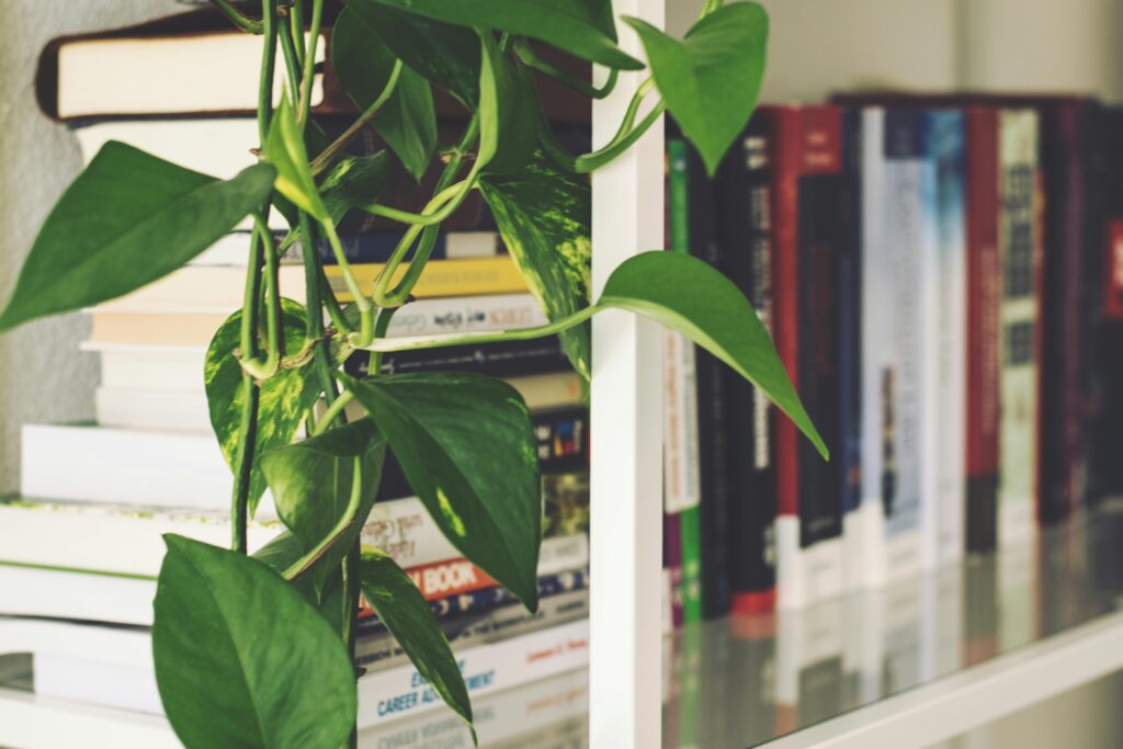 Menciptakan buzz marketing buku