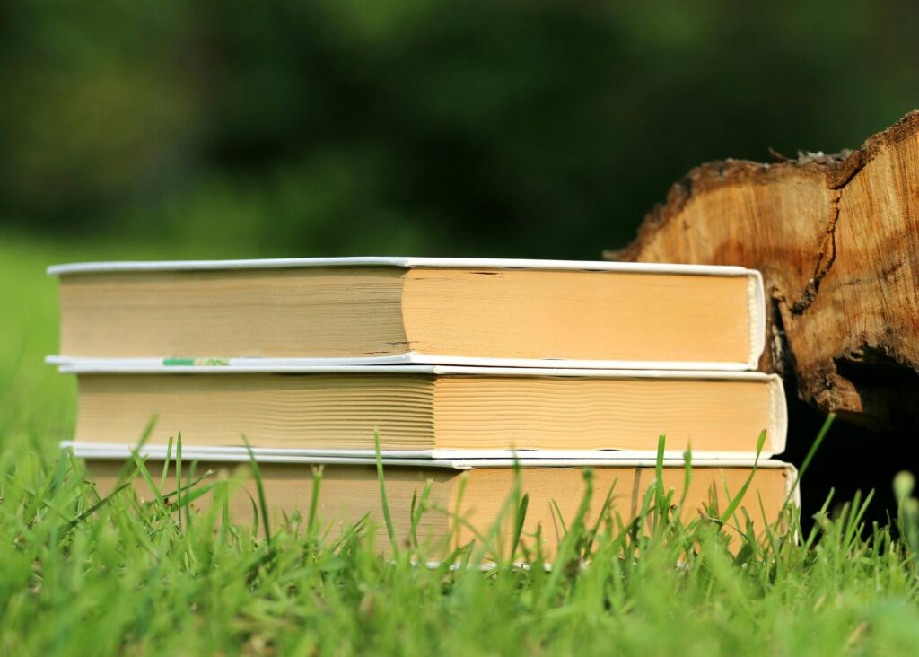 Pencetakan buku indie