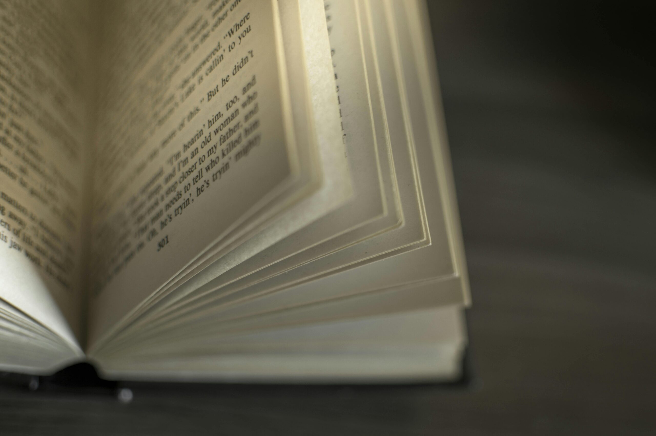 Format Penulisan Buku Berdasarkan Jenisnya: Novelet